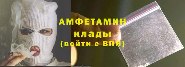 амф Снежногорск
