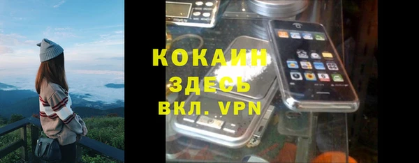 шишки Нефтегорск
