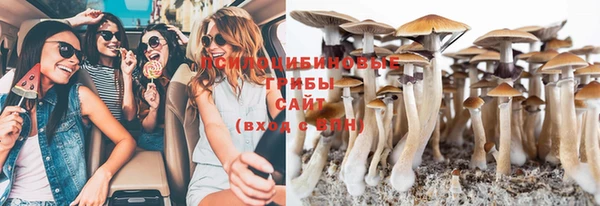 шишки Нефтегорск