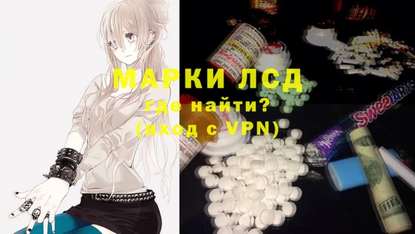 ешки Снежинск