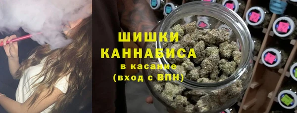 шишки Нефтегорск