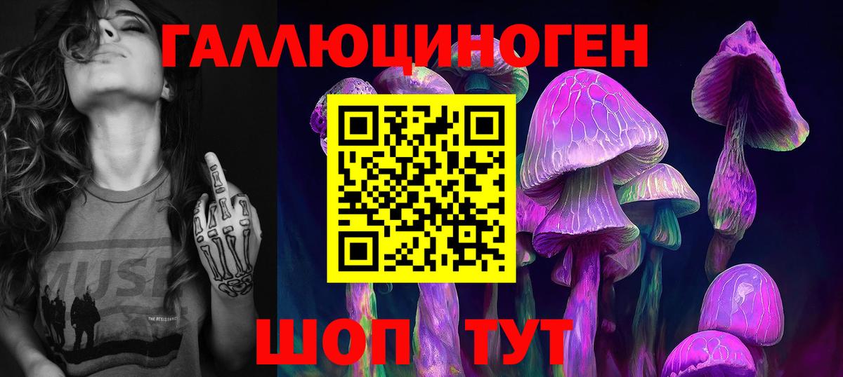 Псилоцибиновые грибы мицелий  Вход с VPN  Псилоцибиновые грибы мицелий  Чебоксары 